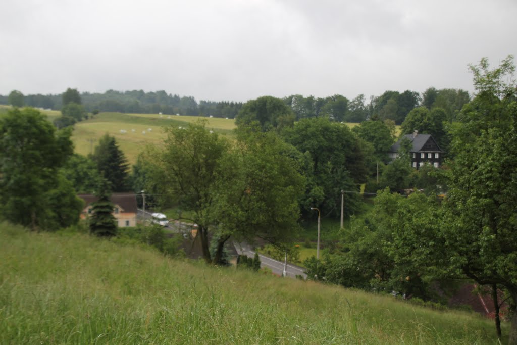 Česká Kamenice, Liska, Tschechische Republik, Mitte Juni 2015 by kdh865