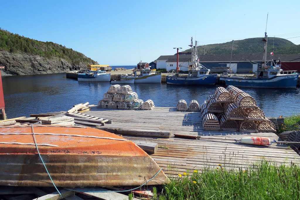 Trout River harbour. by Steve Manders