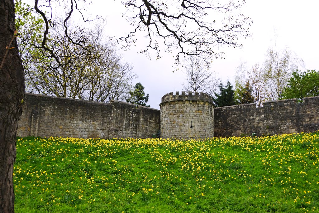 York old town city walls by Andrey Sulitskiy