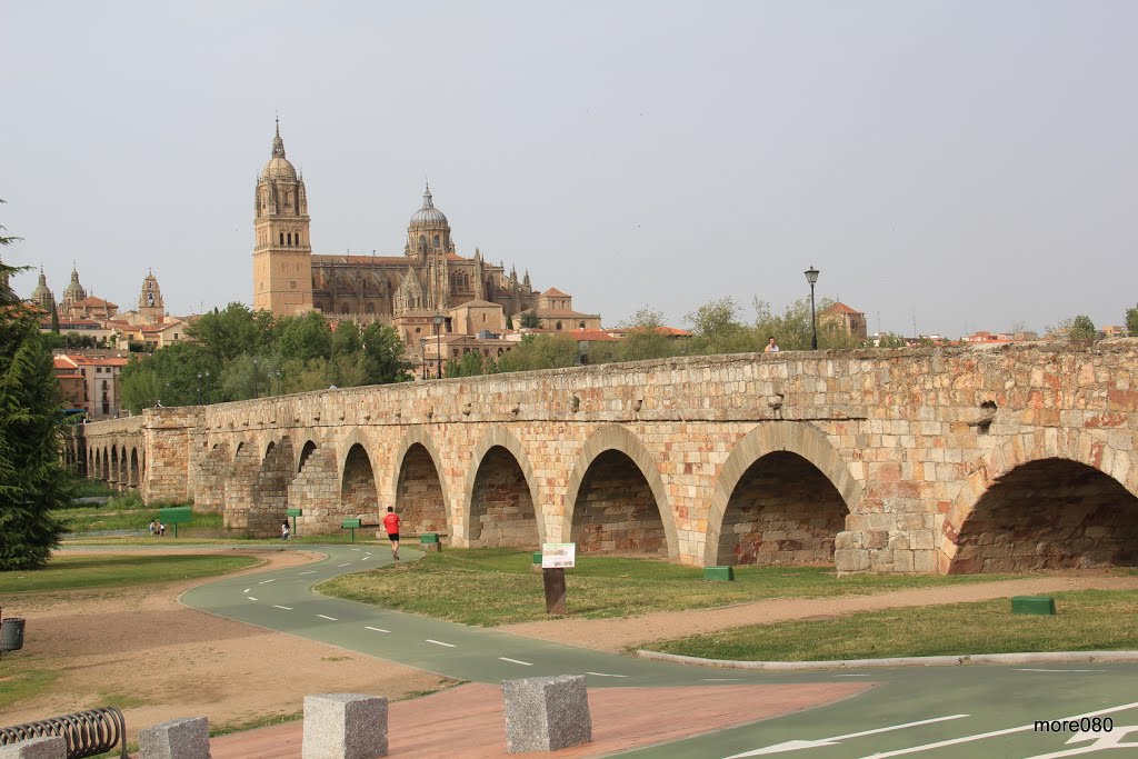 Salamanca 080 by Francisco Javier (mo…