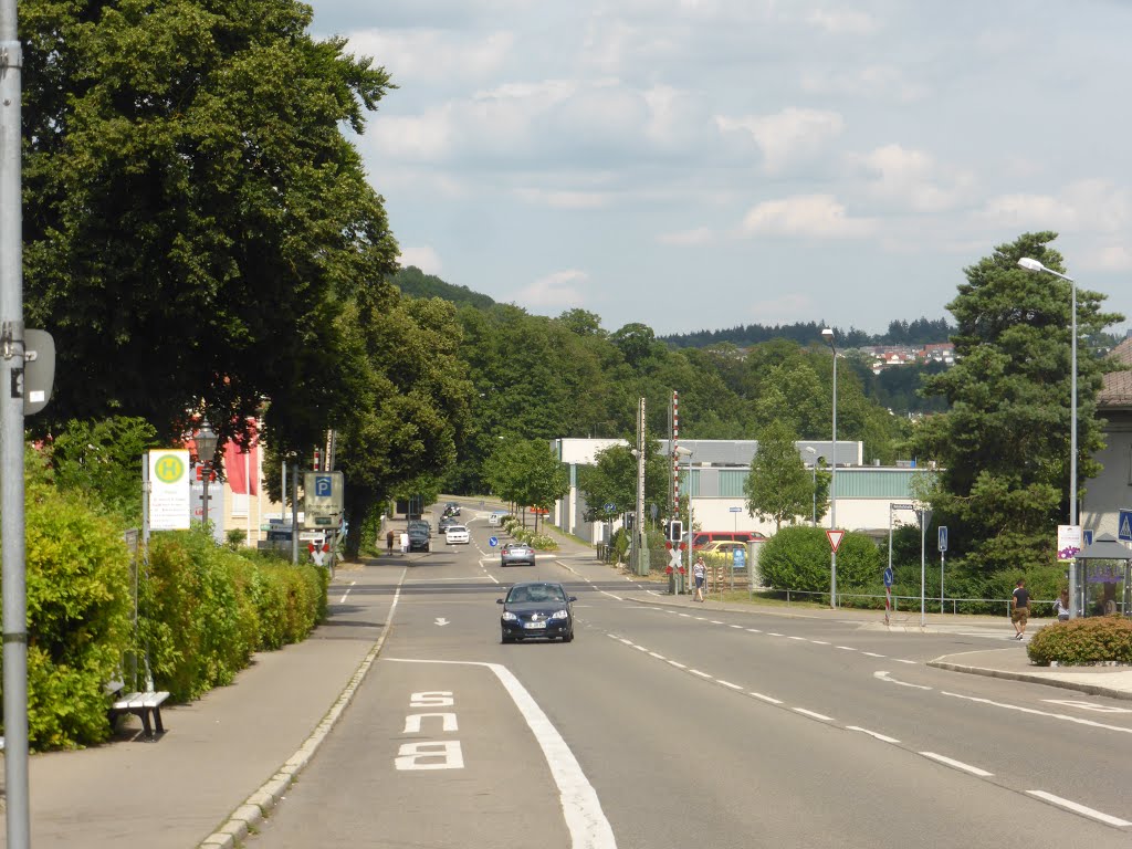 DB Bahnübergang westlich vom Bahnhof Sigmaringen by Fredy Kim