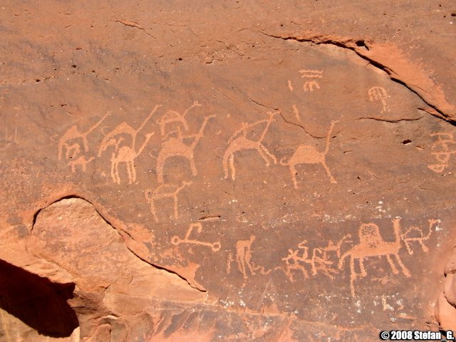 Rock engravings of camels by Stefan Grötsch