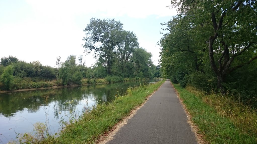 Canal du Rhône au Rhin by Tiphaine Tulic