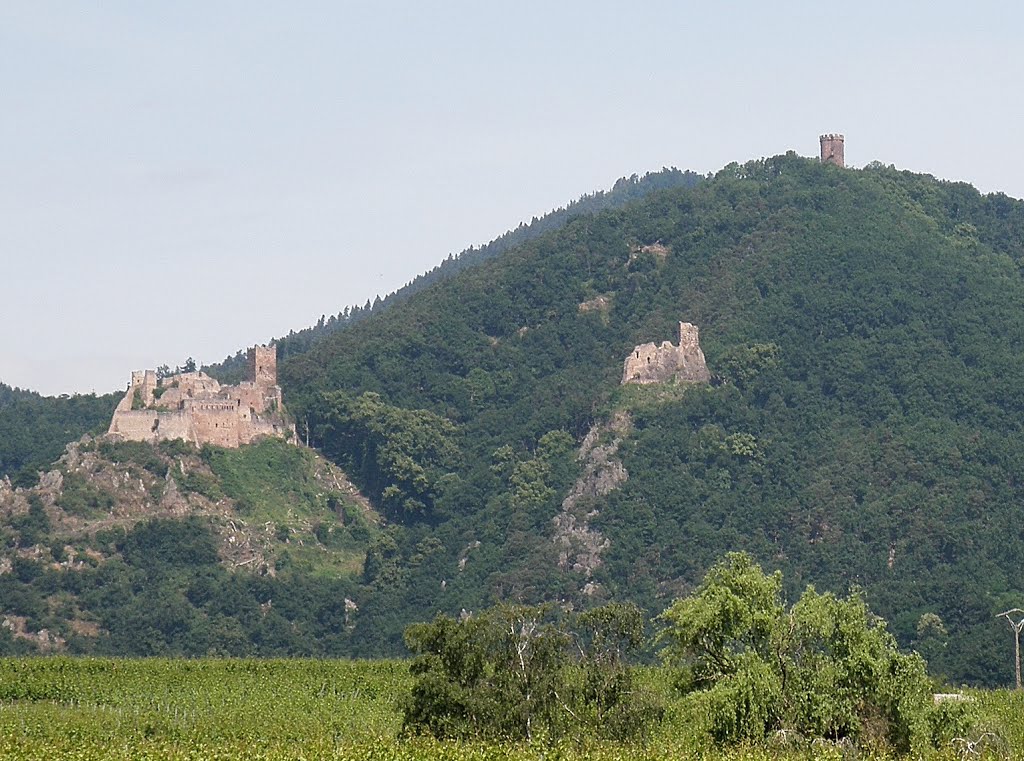 Ribeauvillé - Châteaux by carlo bianco