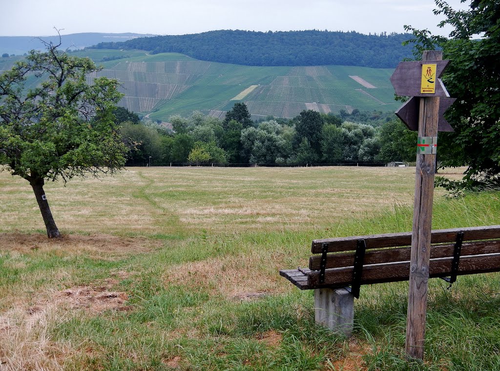 Ausblick von dem im Oktober 2010 eingeweihten 226 km langen Remstal-Höhenweg by qwesy qwesy