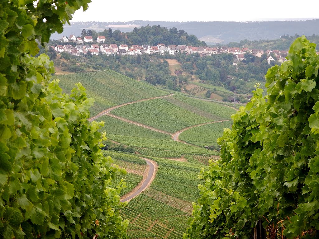 Blick über die Weinberge by qwesy qwesy