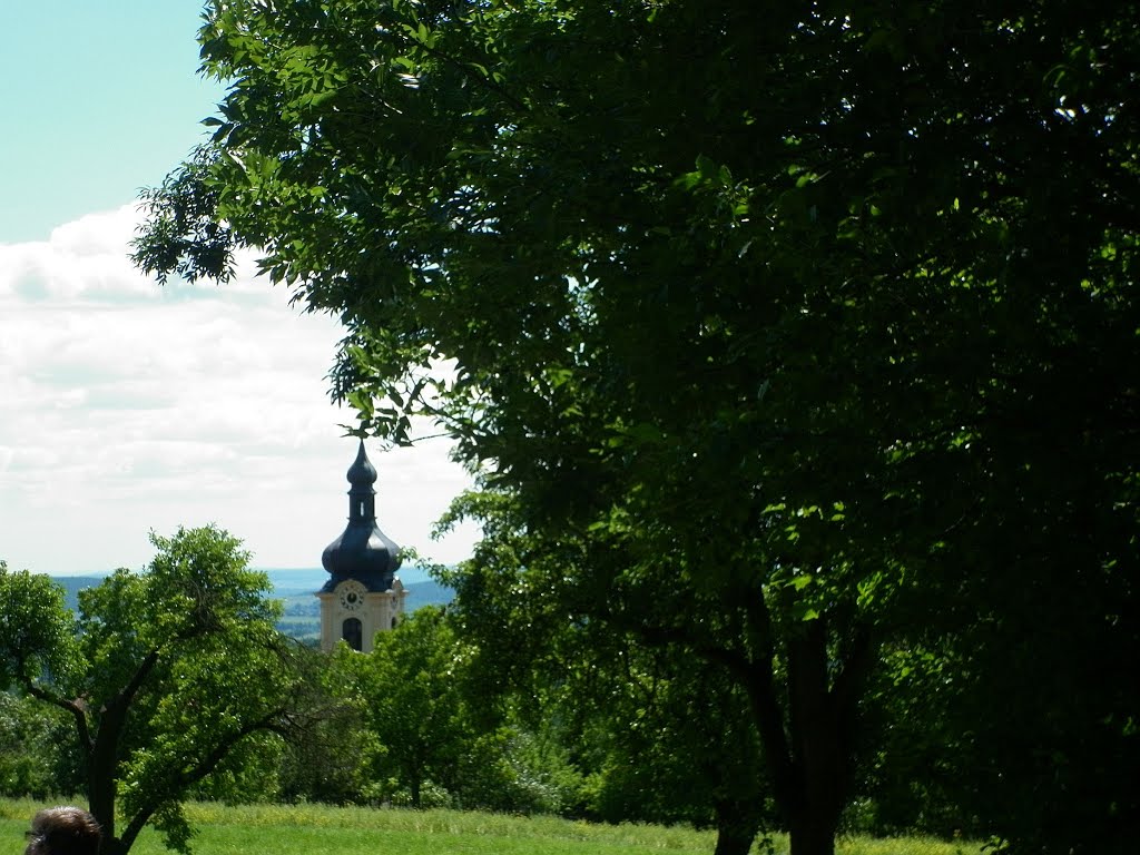 Třebušín by Jaruška