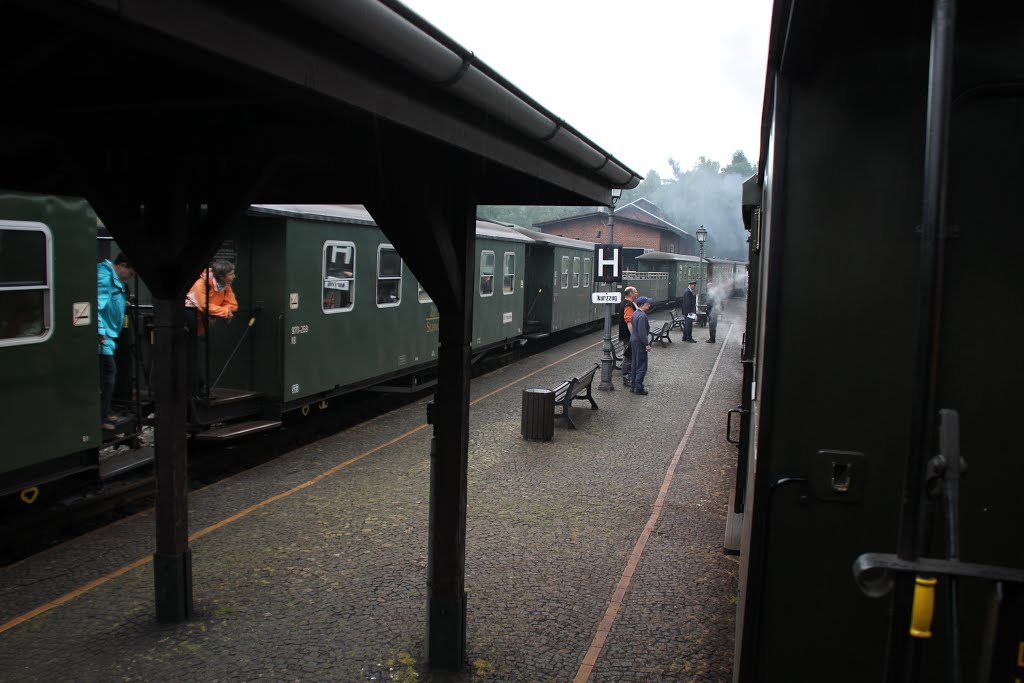 Olbersdorf, Deutschland, am Umsteige-Bahnhof "Bertsdorf" der "Zittauer Schmalspurbahn", Mitte Juni 2015 by kdh865