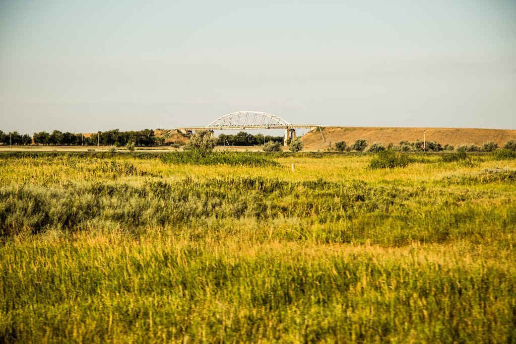 Kalachyovsky District, Volgograd Oblast, Russia by scissorblake