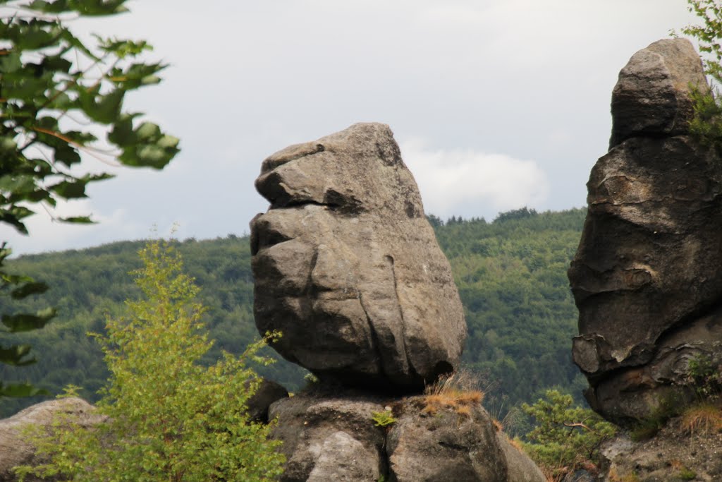 Johnsdorf, Deutschland, Blick vom Nonnenfelsen, Mitte Juni 2015 by kdh865