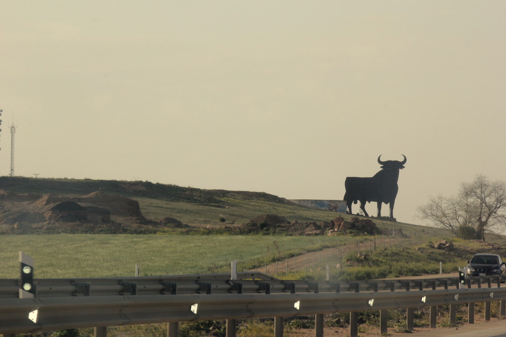 TURLEQUE (TOLEDO) EL TORO DE OSBORNE, EN LA LLANURA MANCHEGA by JOSE LUIS OROÑEZ