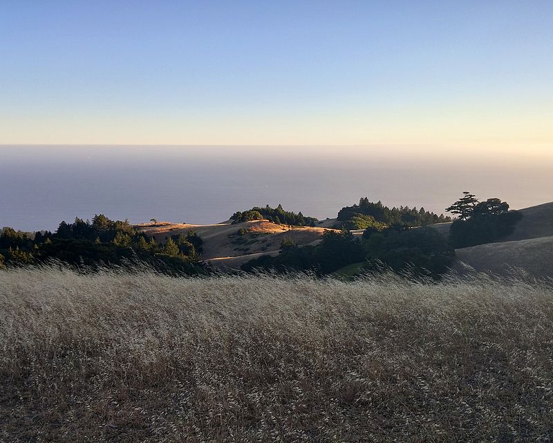 Mt Tamalpais View by Aaron Nuffer