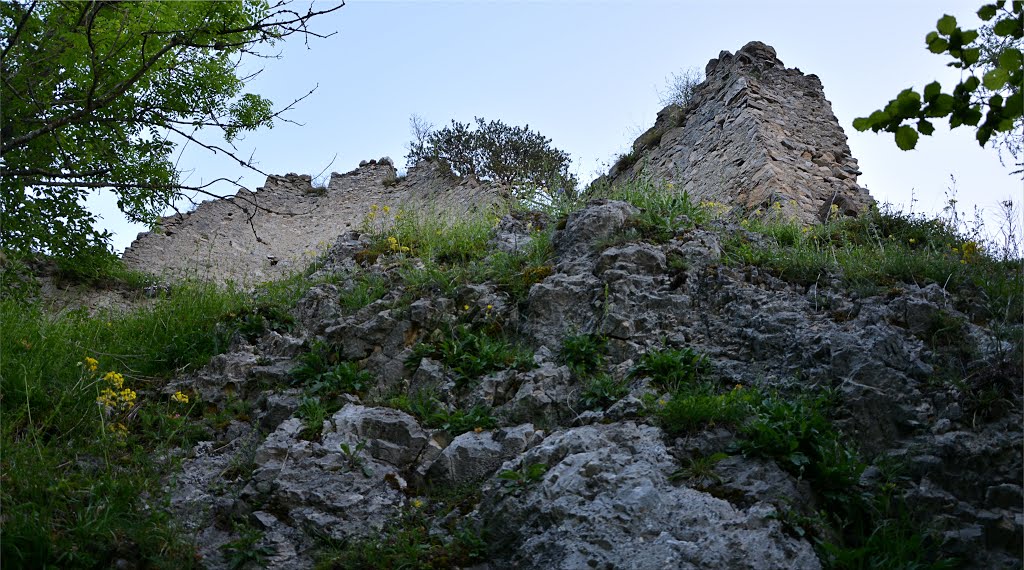 Ruine Kammerstein by Normann Steidl