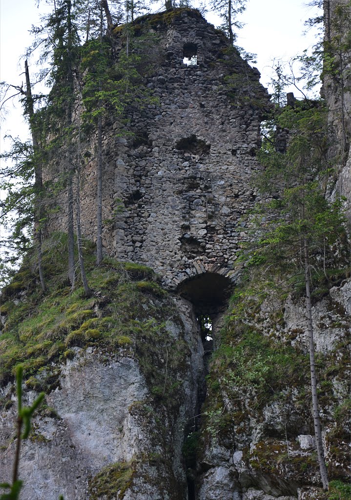 Ruine Kammerstein by Normann Steidl