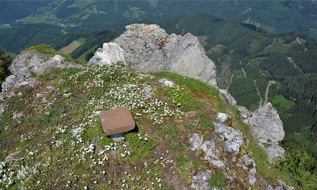 Gipfel Gfällturm by Normann Steidl