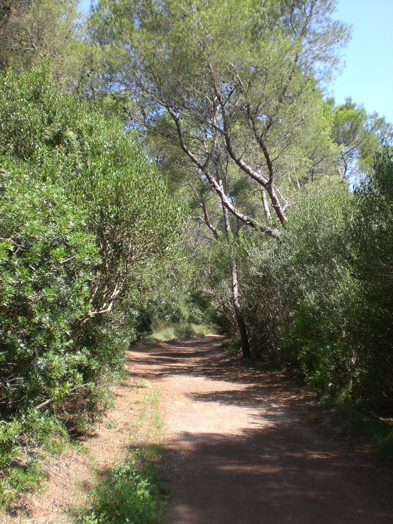 Mahón, Balearic Islands, Spain by sima16