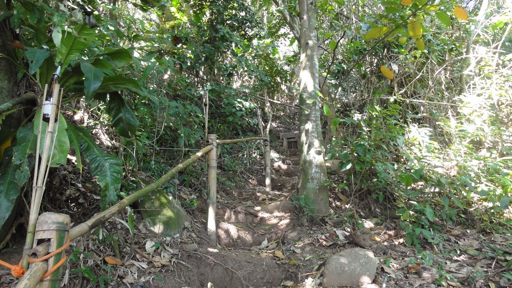 Monte de Oração Getsemani - Guarujá - SP - Brasil by Renato Carraro