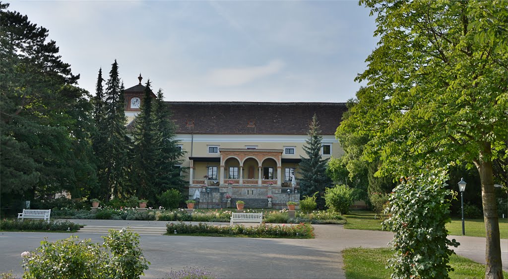 Doblhoffpark (Rosarium) by Normann Steidl