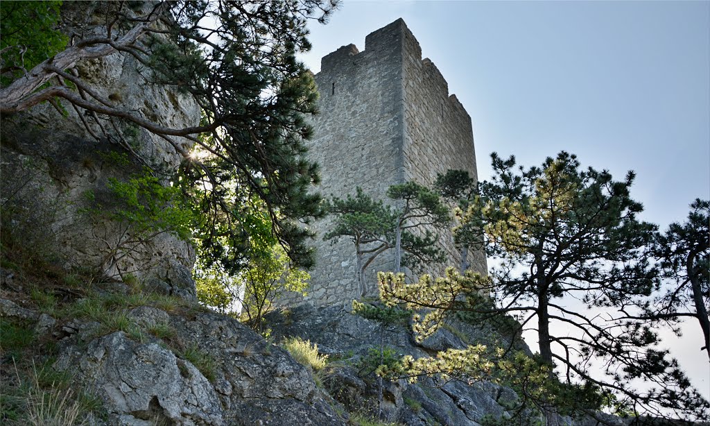 Ruine Rauhenstein by Normann Steidl