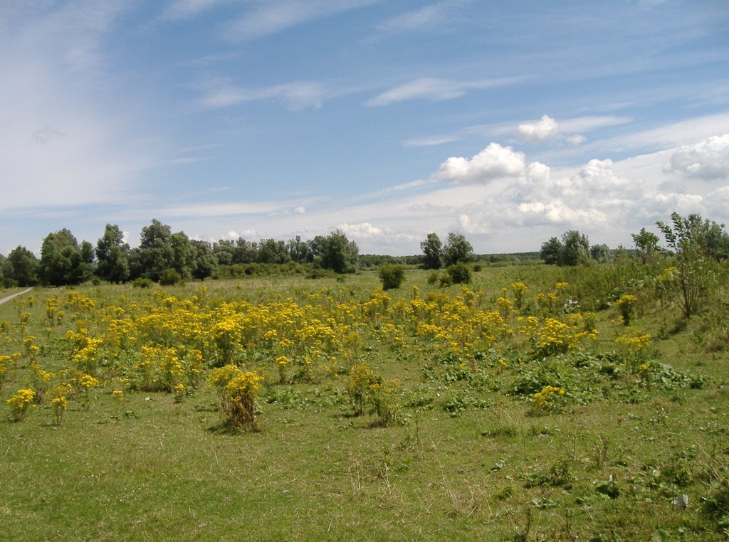 Lepelaarplassen D by Cor Kan Almere