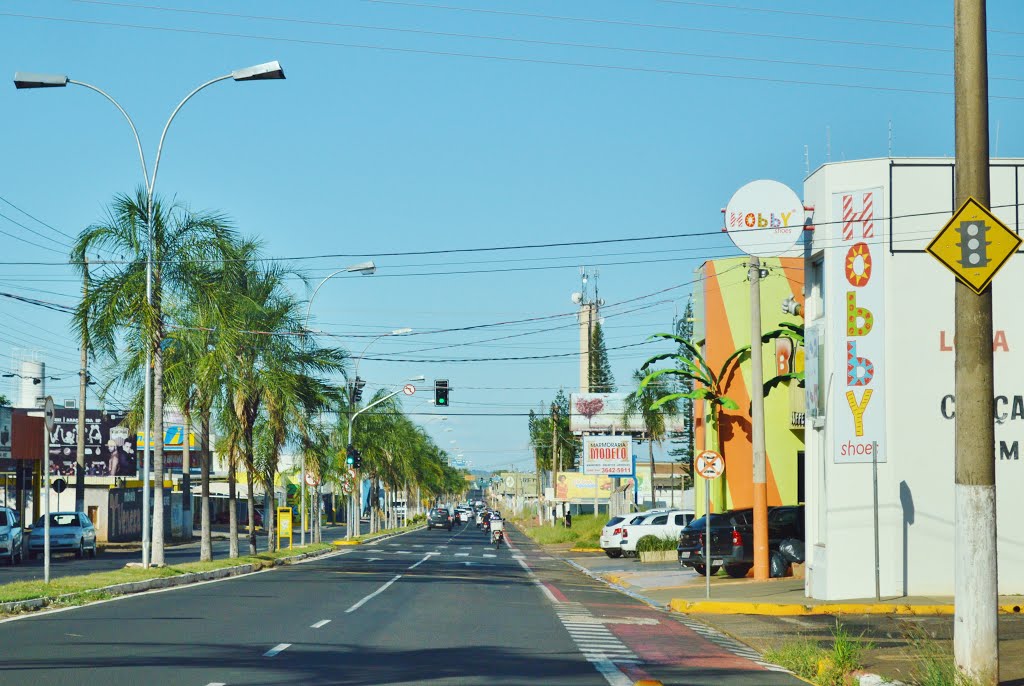 Avenida Euclides Miragaia - Birigui/SP by carlos henrique da s…