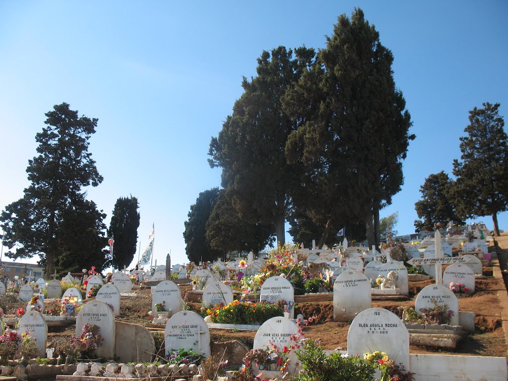 Cementerio Santa Inés, Viña del Mar by Eugenio Aviles