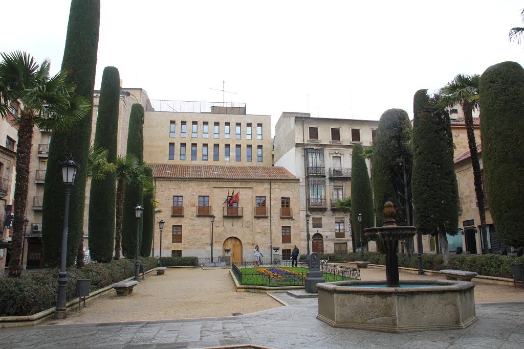 Plaza de la Libertad, Salamanca. Marzo 2015 by Pablo F.