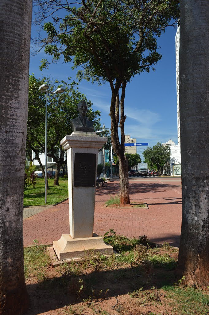 Monumento na Praça Rui Barbosa - Araçatuba/SP by carlos henrique da s…