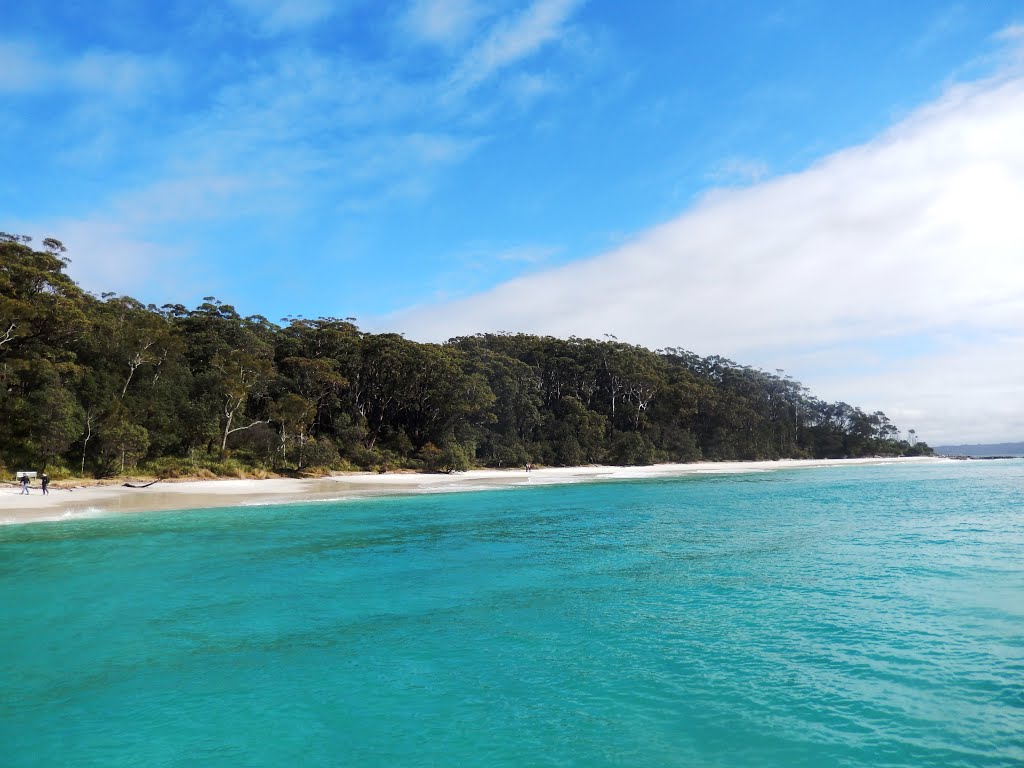 Clear Turquoise Waters of Green Patch Beach, Jervis Bay Territory by V.J. Munslow