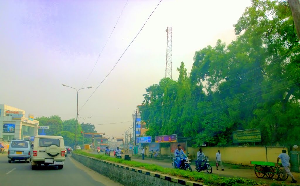 Ramalingam Colony, Saibaba Colony, Coimbatore, Tamil Nadu, India by Kamalakar Anthati