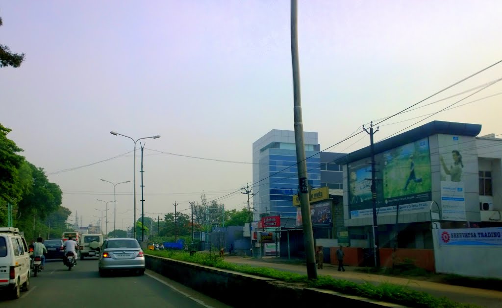 Nesavaalar Colony, Saibaba Colony, Coimbatore, Tamil Nadu, India by Kamalakar Anthati