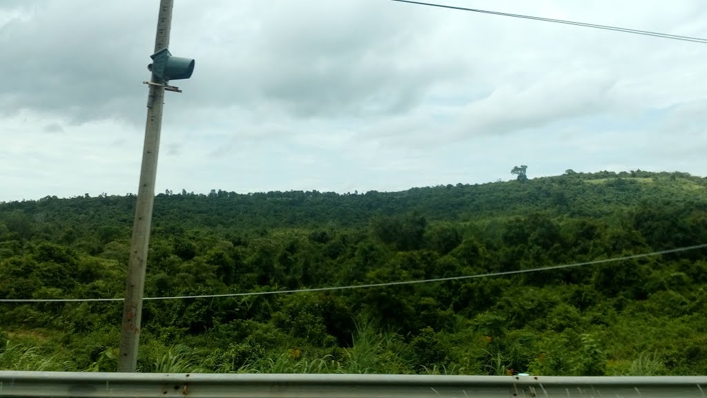 Site of road by Dao Trong Thuan