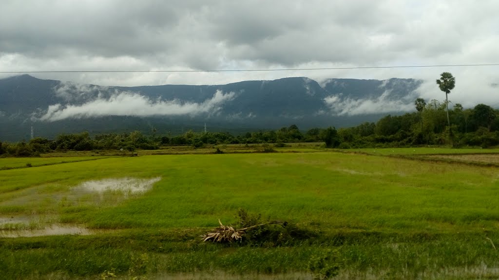 Site of road by Dao Trong Thuan