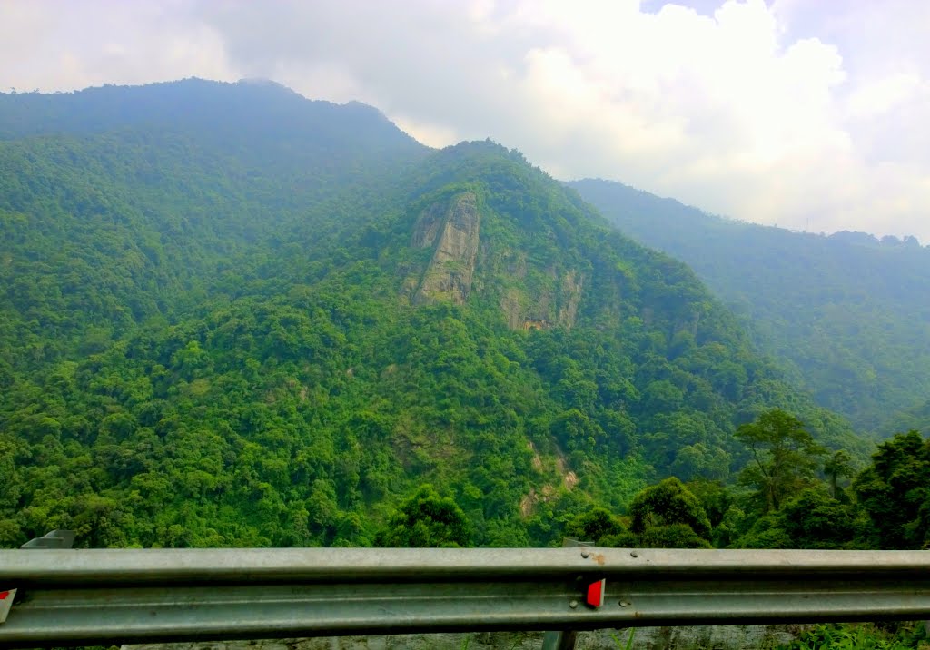 Hills of Nilgiris, Tamil Nadu, India by Kamalakar Anthati