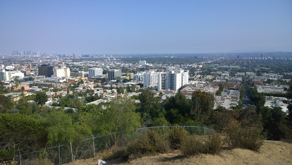 Hollywood Hills, Los Angeles, CA, USA by f(x)