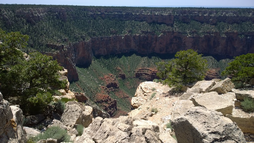 Coconino County, AZ, USA by f(x)