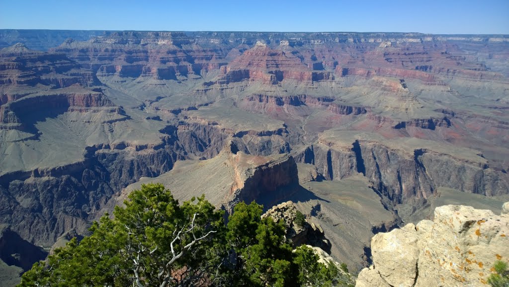 Grand Canyon Village, AZ 86023, USA by f(x)