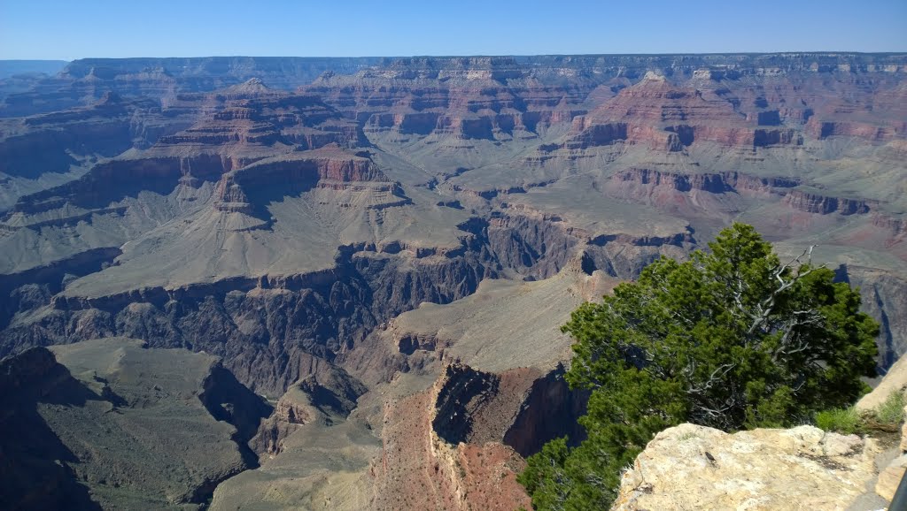 Grand Canyon Village, AZ 86023, USA by f(x)