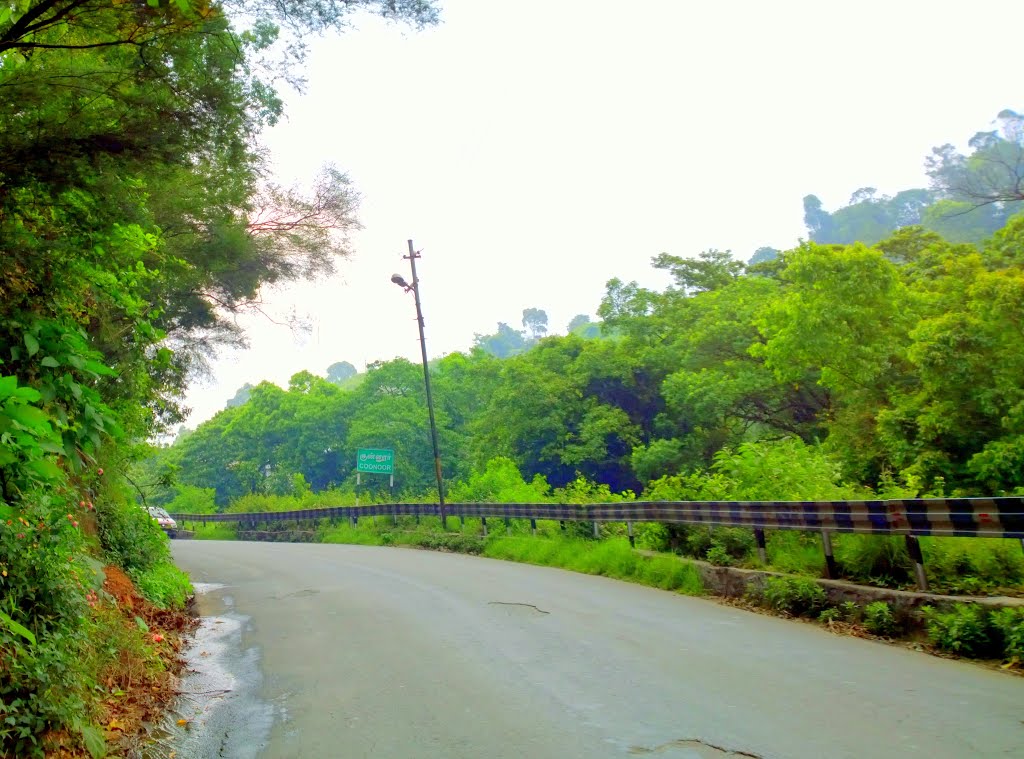 Alwarpet, Coonoor, Tamil Nadu, India by Kamalakar Anthati