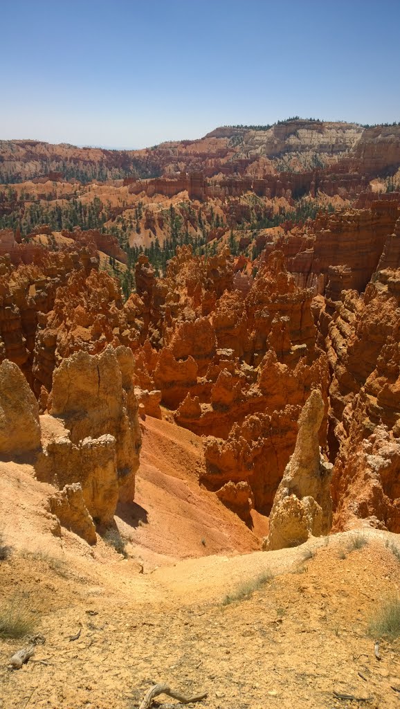 Garfield County, UT, USA by f(x)