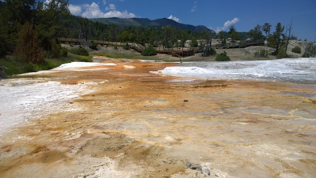 Park County, WY, USA by f(x)