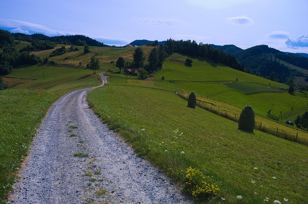 Countryside road by Aleksander Kwiatkows…