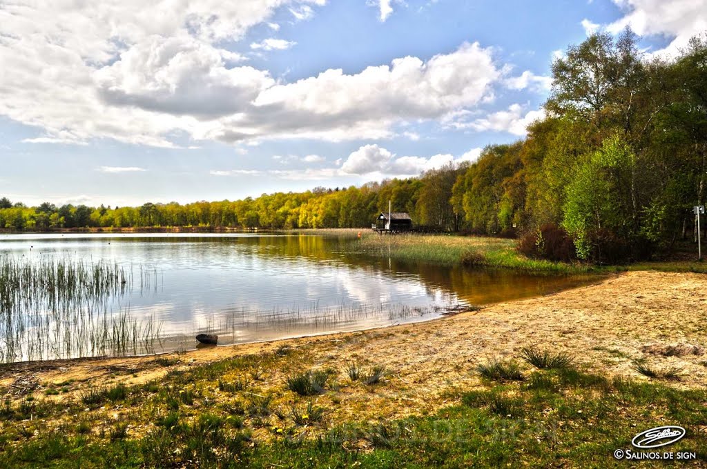 Silbersee Wehdel 0502_5835-(C)FoSalinos by Fotosillus