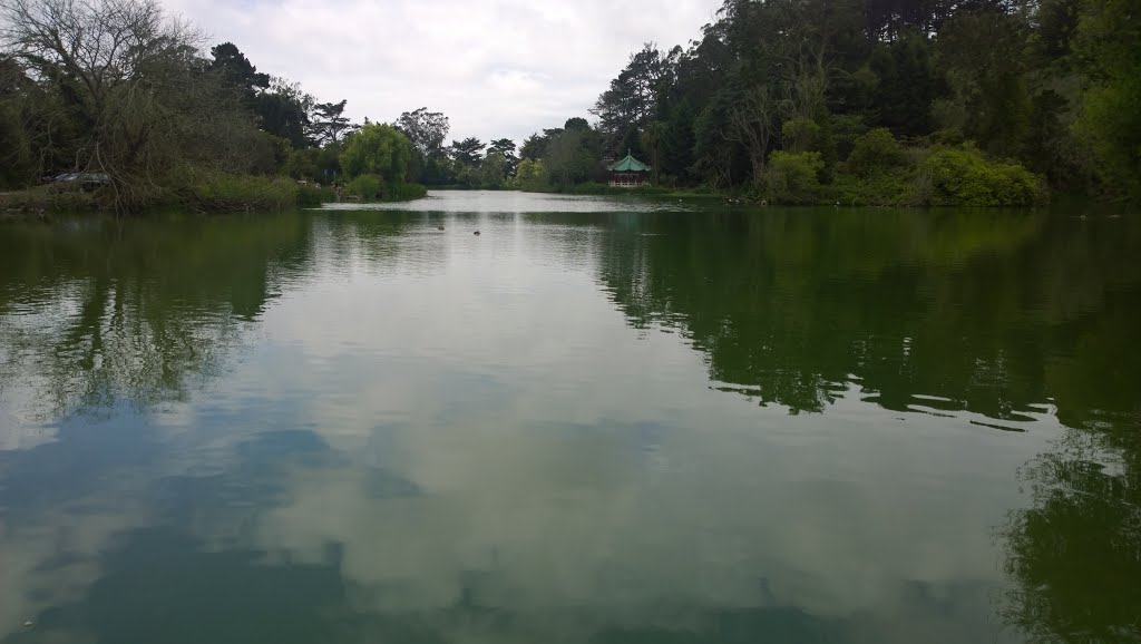 Golden Gate Park, San Francisco, CA, USA by f(x)