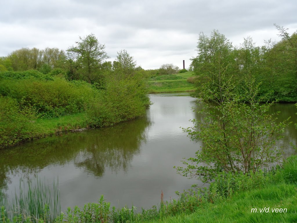 Vijver schieringen by maurice van der veen