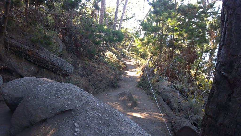 Big Sur, CA, USA by f(x)