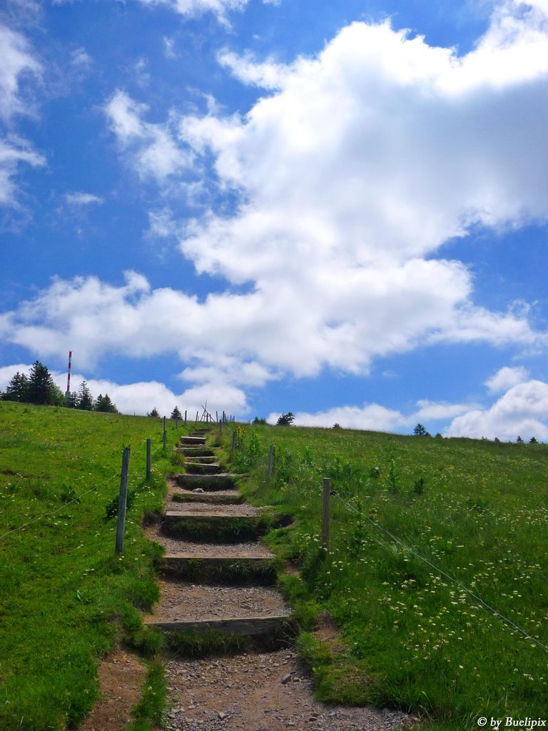 Feldberg - Wanderweg by Buelipix