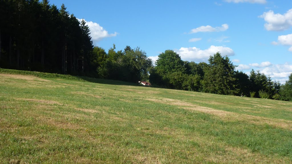 Paysage estival à Gilley. L'entrée ouest du bourg. by LOFAJE