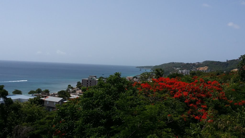 Aguadilla Pueblo, Aguadilla, Puerto Rico by Lee Anderson