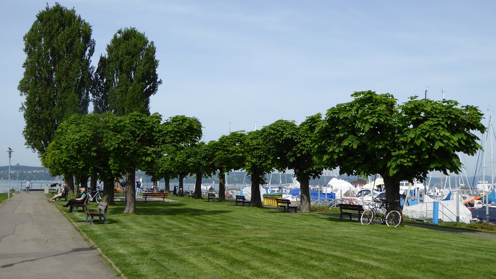 Unteruhldingen : Segelschiff-Hafen.12.05.2015 by Manfred Nowag